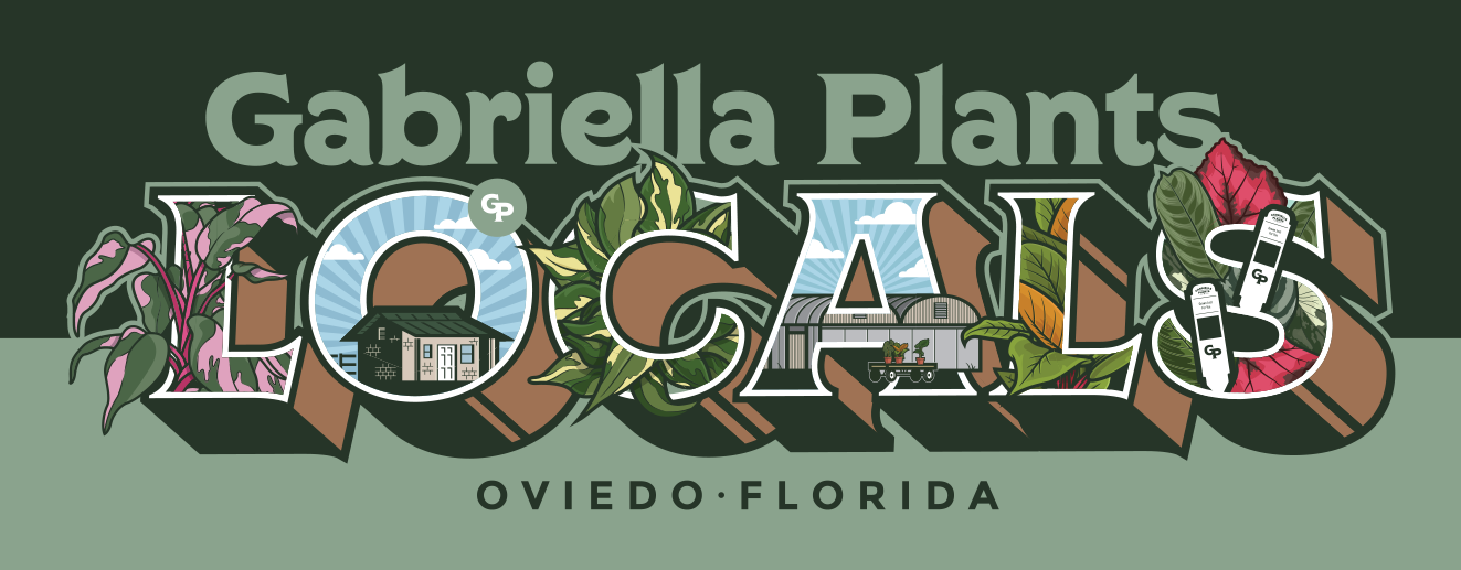 Gabriella Plants Locals — Oviedo, Florida